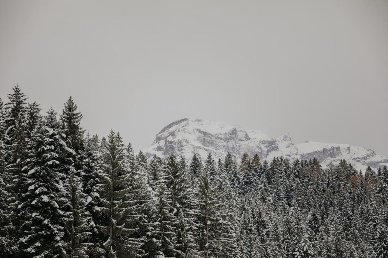 Hygna Chalets Reith im Alpbachtal Exteriör bild