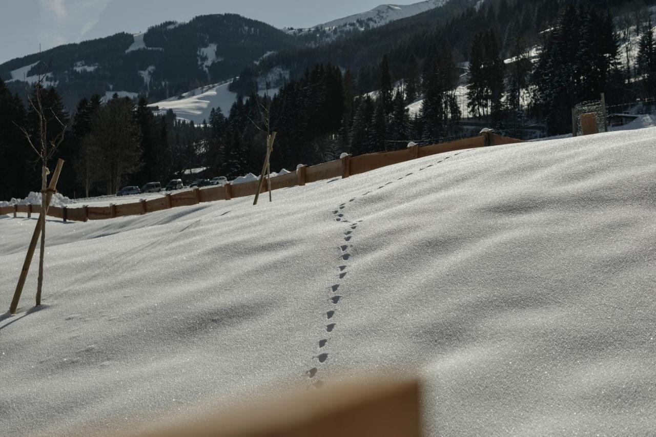 Hygna Chalets Reith im Alpbachtal Exteriör bild
